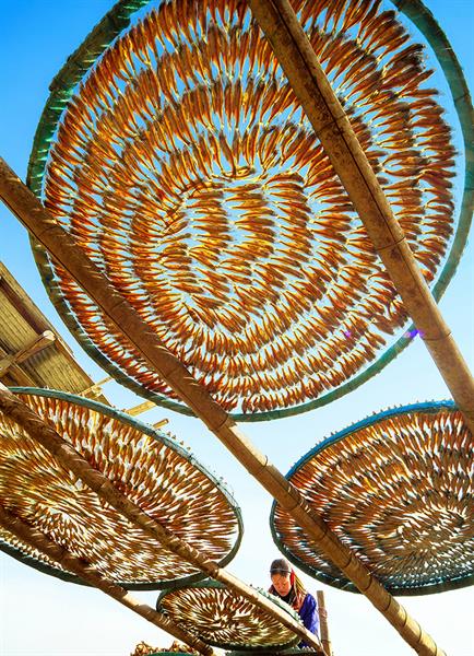 <span>ƷƦɹ~,Dried fish in the sun ʱ2011727 صɽբ 20211µ2WPL֮͌</span>